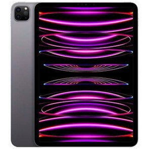 iPad Pro M2 11'' Wi-Fi + Cellular 256GB Space Gray (2022) (MP573)